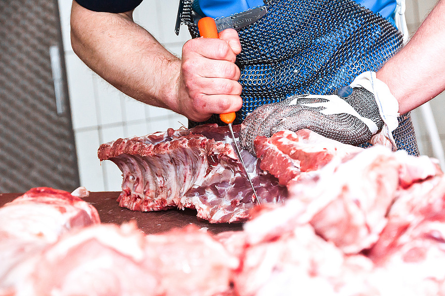 болезням костно-мышечной системы болезням костно-мышечной системы