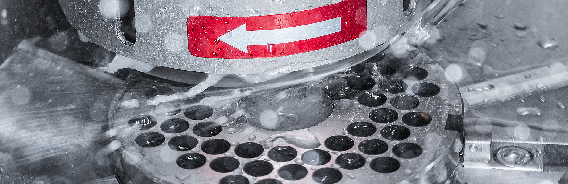 Affûteuse pour plaques et couteaux de hachoir W 200 II